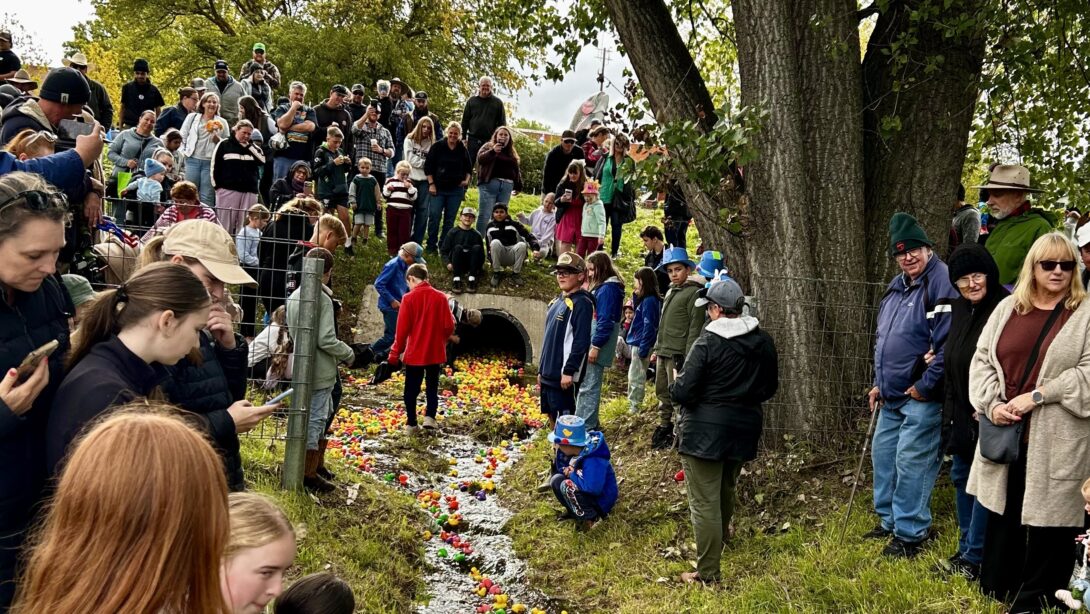 Leed - Supporting a wacky quacky community drawcard Image